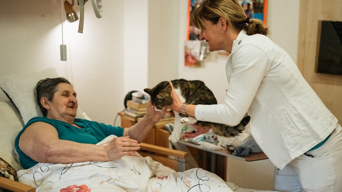 A caregiver shares a gentle moment with a cat and a senior resident, fostering connection and happiness in a retirement home.
